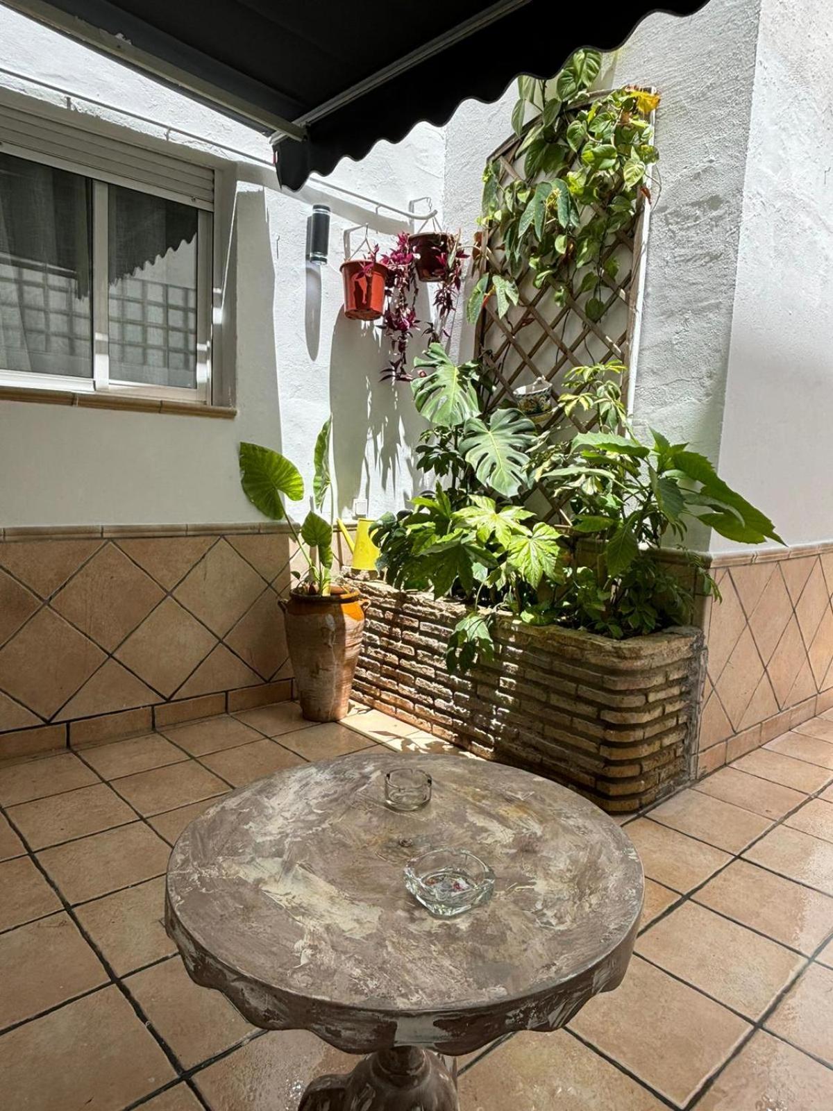 Panther Pureza Appartement Sevilla