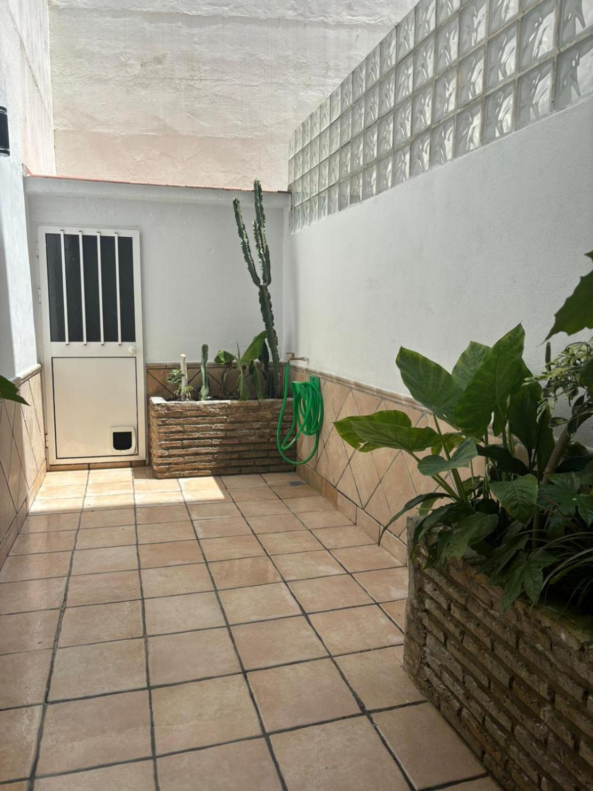 Panther Pureza Appartement Sevilla